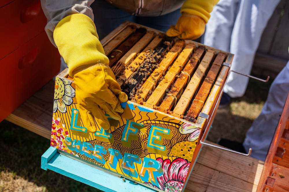 Eating Locally and Seasonally: Benefits for Health and Environment